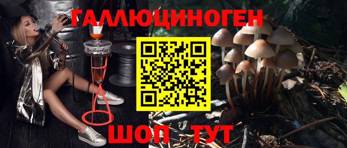 Галлюциногенные грибы мухоморы  Вход с VPN  Орск 
